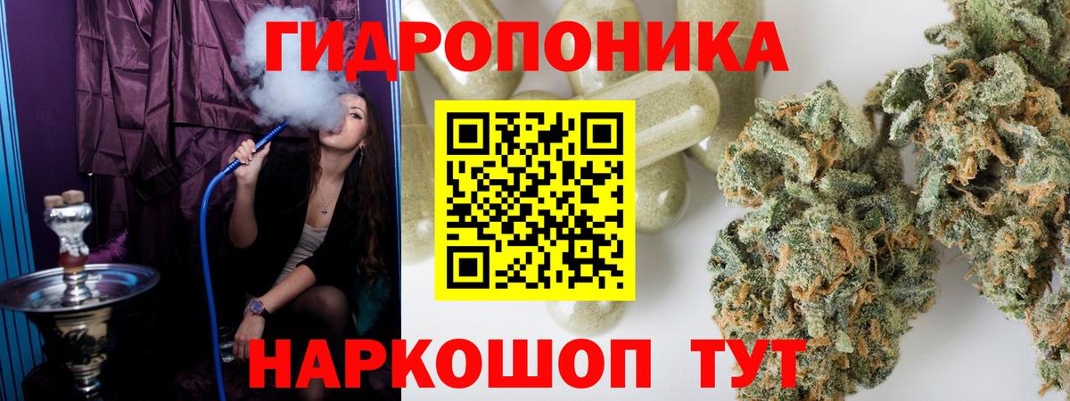 Конопля Bruce Banner  Вход с VPN  Новоуральск  Бошки Шишки тримм  Бошки Шишки VHQ 